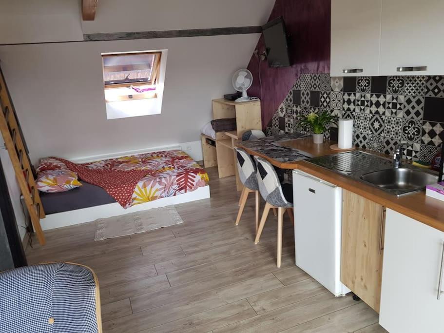 Studios Kry Strasbourg Extérieur photo